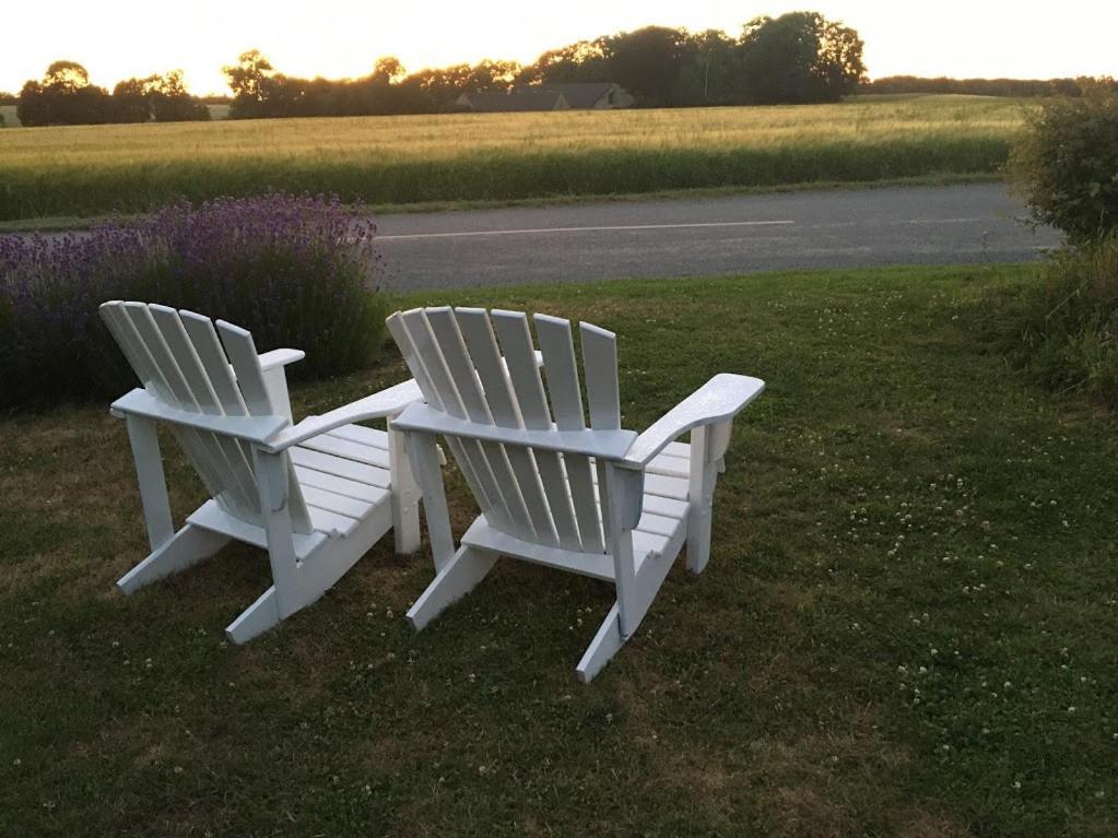 Guldbjerghus B&B Bogense Bagian luar foto