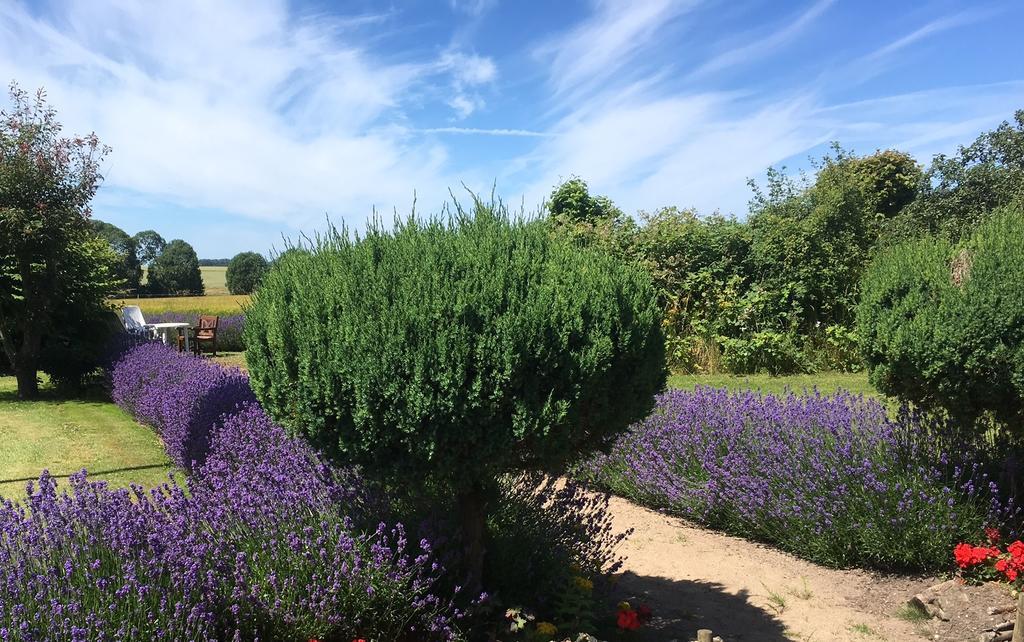 Guldbjerghus B&B Bogense Bagian luar foto